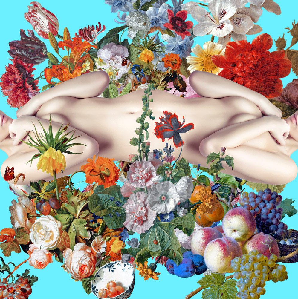 sheared planes portraits smaple image