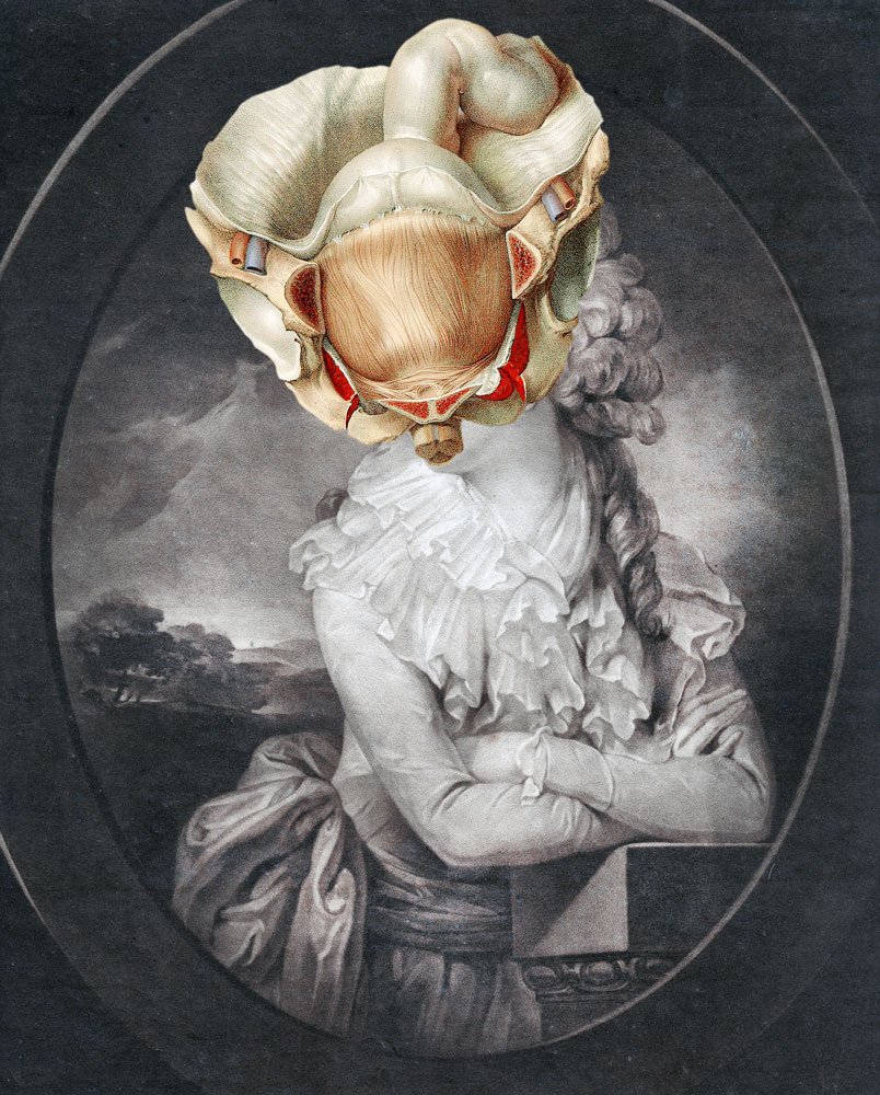 Still Lives Portraits The Morbid Portfolio image 3