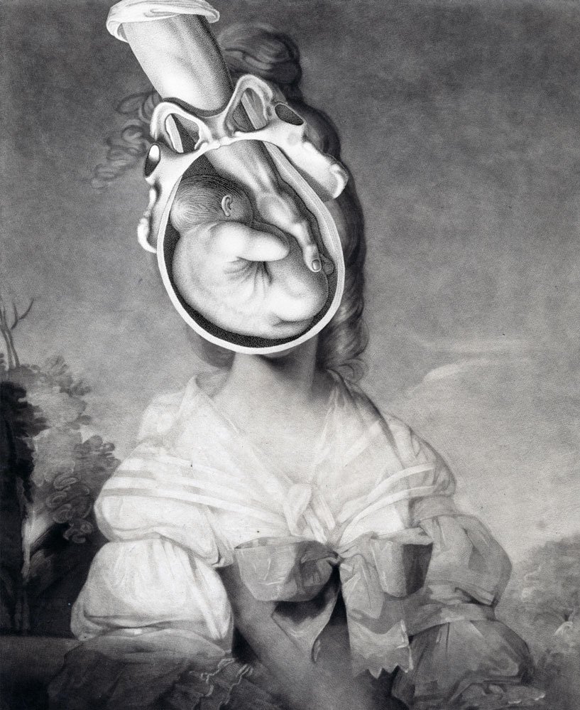 Still Lives Portraits The Morbid Portfolio image 8