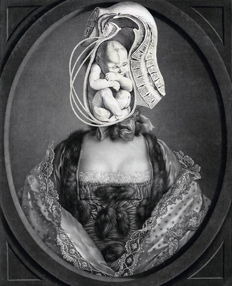 Still Lives Portraits The Morbid Portfolio image 13