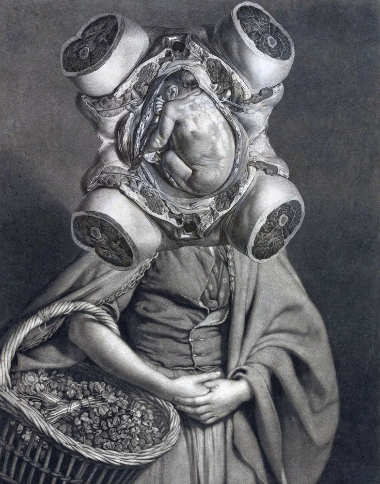 Still Lives Portraits The Morbid Portfolio image 14