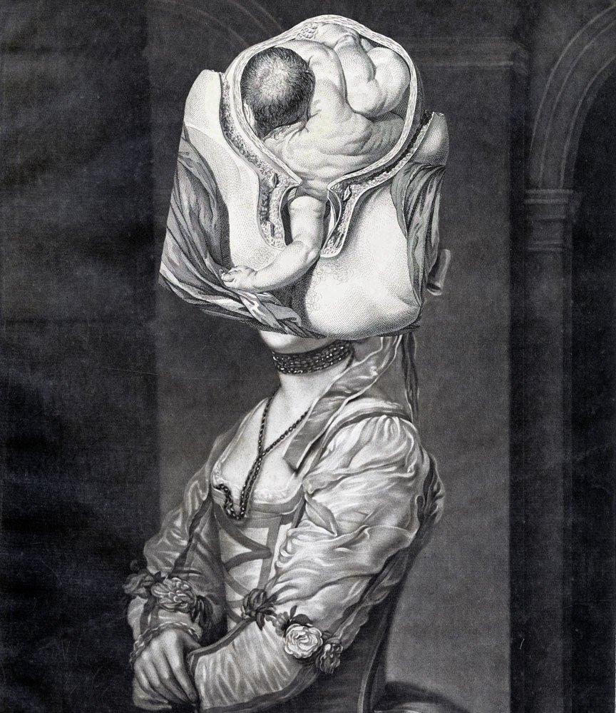 Still Lives Portraits The Morbid Portfolio image 23