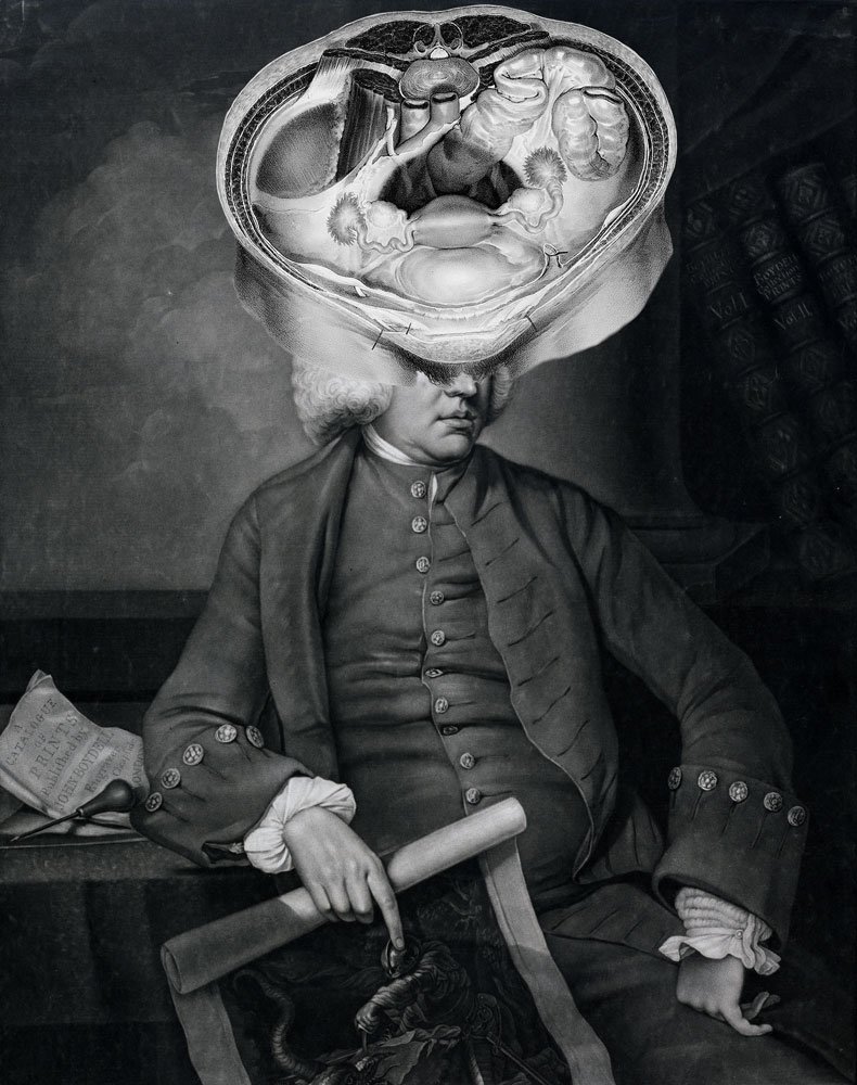 Still Lives Portraits The Morbid Portfolio image 27