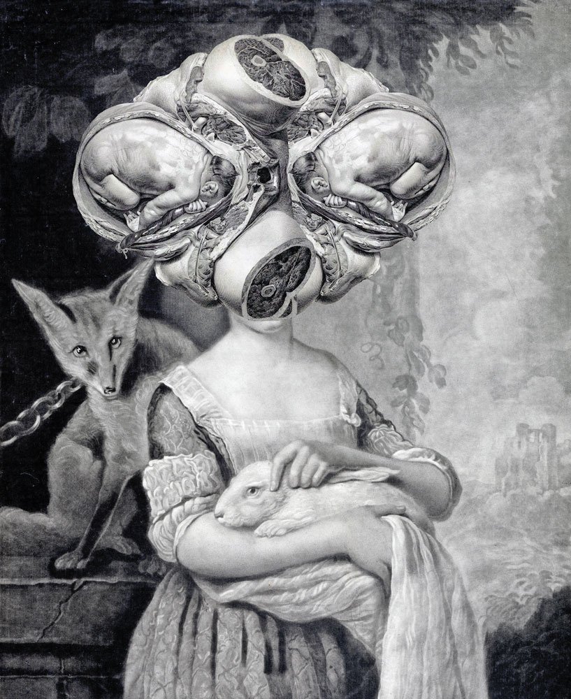 Still Lives Portraits The Morbid Portfolio image 30