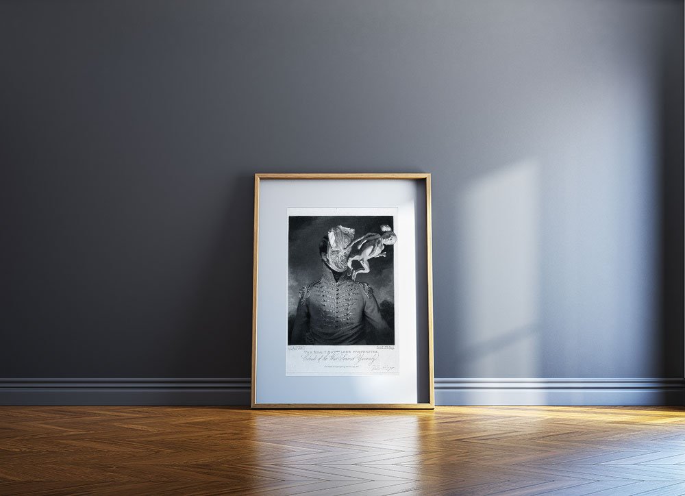 Still Life Limited Edition Prints